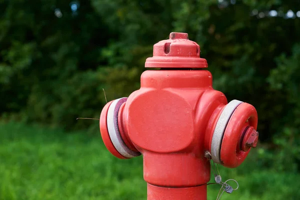 Czerwony hydrant przeciwpożarowy w parku miejskim, zbliżenie — Zdjęcie stockowe