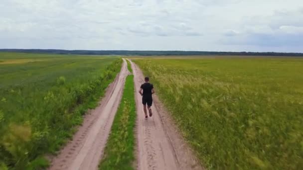 Чоловік, що біжить у полі, вид з повітря — стокове відео