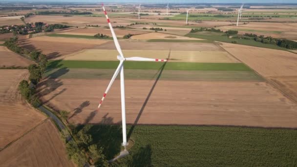 Turbina de moinho de vento no campo no dia de verão. Gerador de vento rotativo — Vídeo de Stock