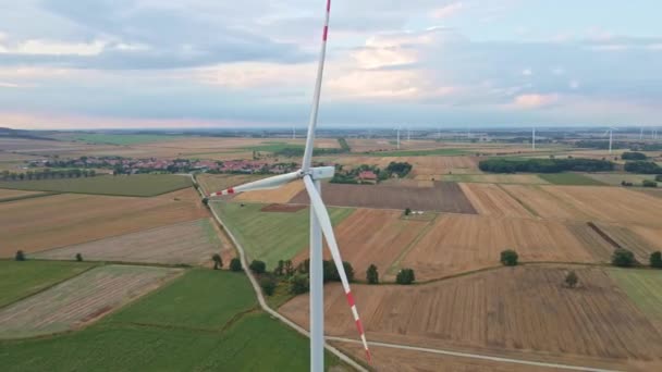 여름에는 풍차 터빈 이 들판에 있다. 회전하는 풍력 발전기 — 비디오