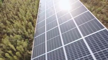 Sahadaki güneş panelleri çiftliği