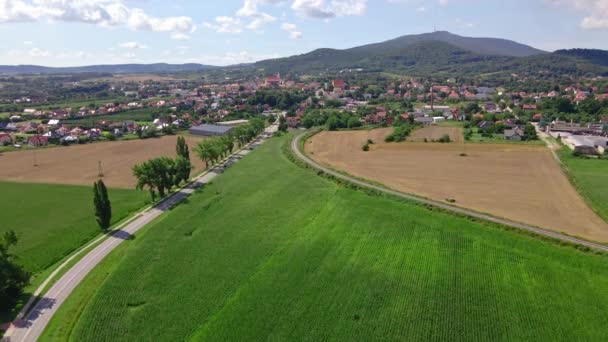 Luftaufnahme eines Dorfes in der Nähe von Bergen. Landschaft auf dem Land — Stockvideo