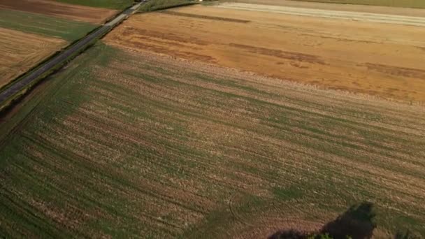 Yaz günü tarlada yel değirmeni türbini. Dönen rüzgar jeneratörü — Stok video