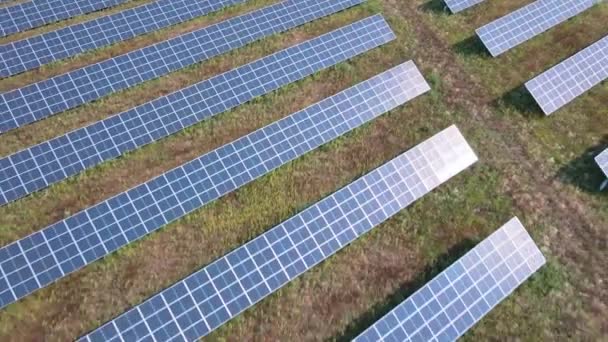 Solar panels farm in the field — Stock Video