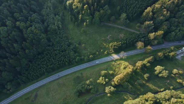 Auto fährt auf Straße durch Kiefernwald, Luftaufnahme — Stockvideo