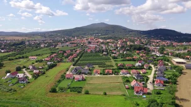 Vista aerea del villaggio vicino alle montagne. Paesaggio di campagna — Video Stock