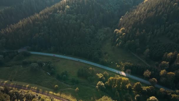 Auto pohybující se po silnici lesem borovic, letecký pohled — Stock video