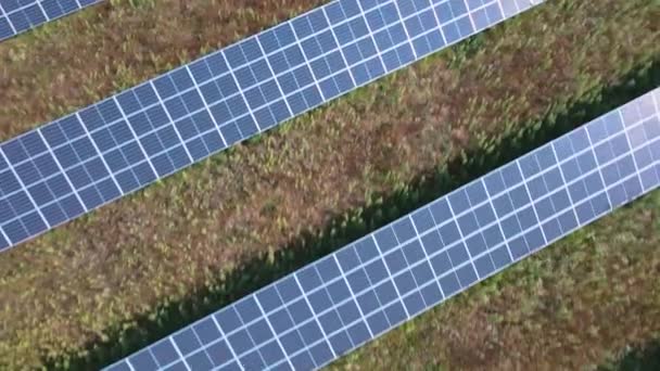 Granja de paneles solares en el campo — Vídeo de stock