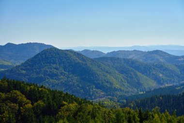 Wide scenic view of green mountain slopes covered with dense forest under bright blue sky. Concept of nature, wilderness and environmental conservation