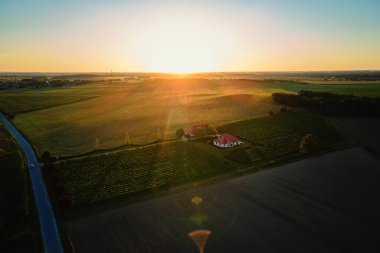 Güneş ışığında küçük bir şaraphane, hava manzaralı. Gün batımında yeşil tarlalarla çevrili üzüm bağları ve çiftlik evleri. Özel şarap yapma konsepti