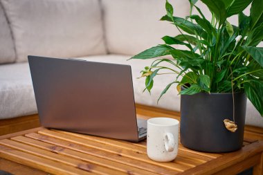 Laptop, beyaz kahve fincanı ve ahşap teras masasında yeşil saksı bitkisi. Uzaktan çalışma, ev ofisi ve dijital yaşam tarzı kavramı