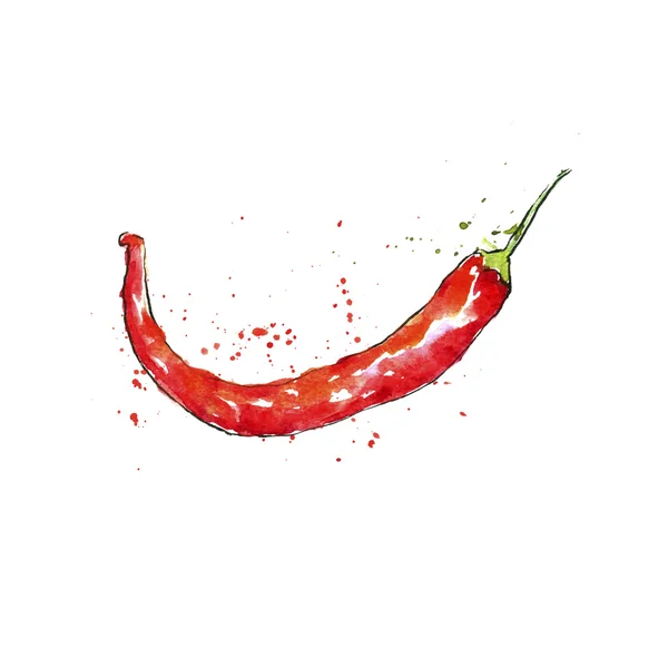 Akvarell piros chili paprika — Stock Fotó