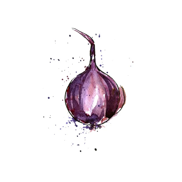 Акварель пурпурная луковица — стоковое фото