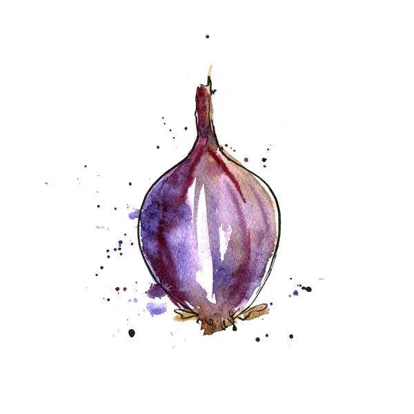 Акварельна фіолетова цибулина — стокове фото