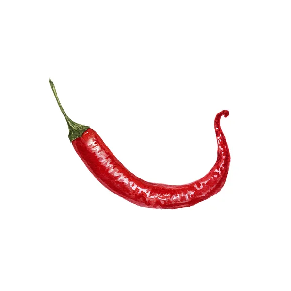 Vodové barvy červené chili pepper — Stock fotografie