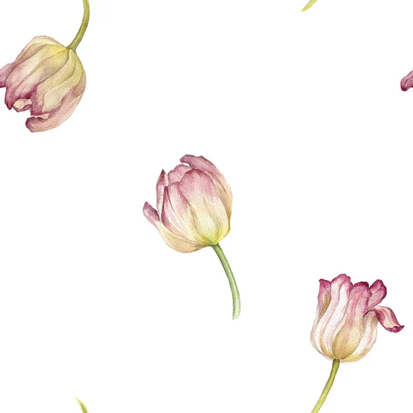 Motif sans couture avec tulipe rose aquarelle — Image vectorielle