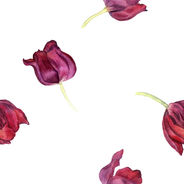 Бесшовный узор с акварелью красный тюльпан — стоковый вектор