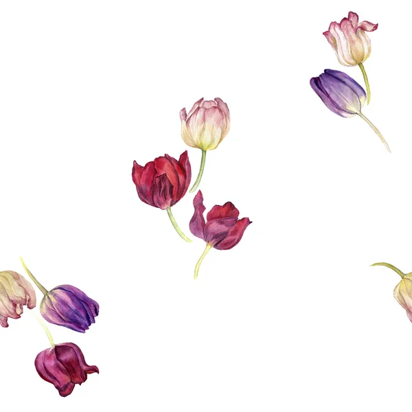 Padrão sem costura com tulipa aquarela — Vetor de Stock