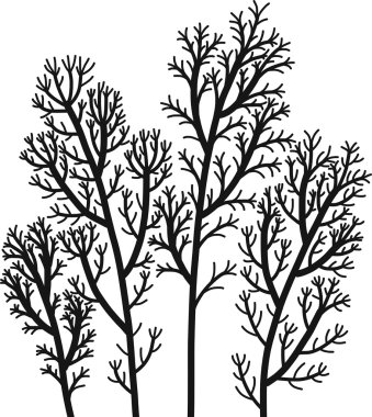 çiçek kompozisyon bitkiler ve yaprakları