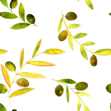 zeytin, yaprakları ve dalları ile vektör suluboya seamless modeli