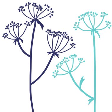 dereotu bitki ile çiçek kompozisyon