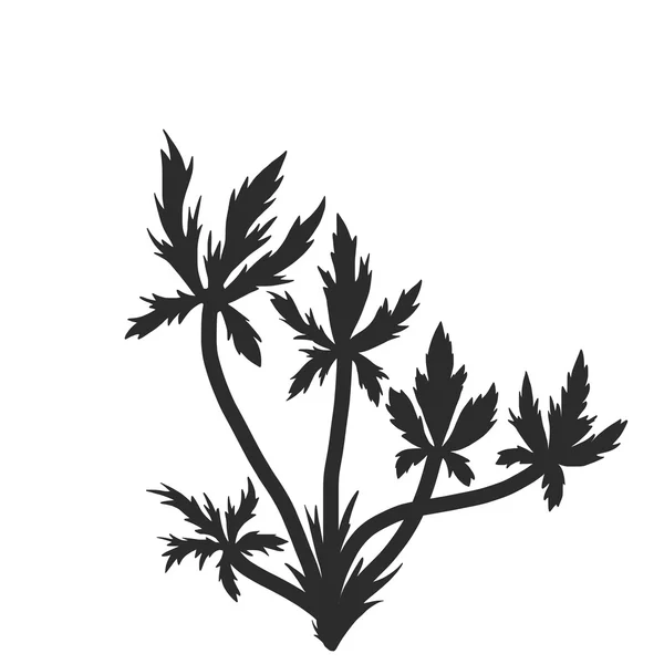 Florale Komposition Pflanzen und Blätter — Stockvektor