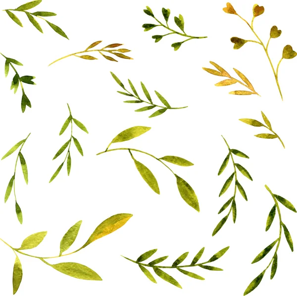 水彩の緑の葉と枝をベクトルします。 — ストックベクタ