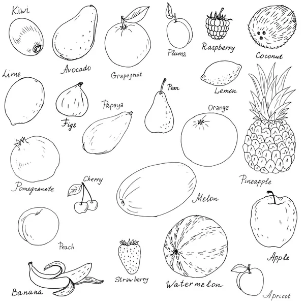 Ensemble vecteur fruits et baies — Image vectorielle