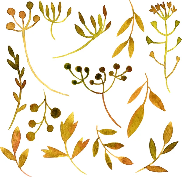 Vetor aquarela folhas verdes e ramos — Vetor de Stock