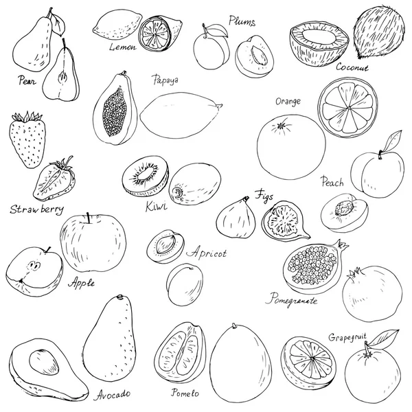 Set vettoriale frutta disegnato a mano — Vettoriale Stock