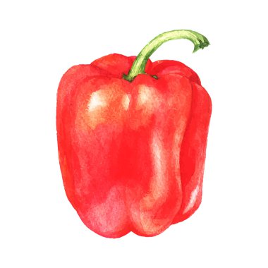 vektör suluboya tatlı biber