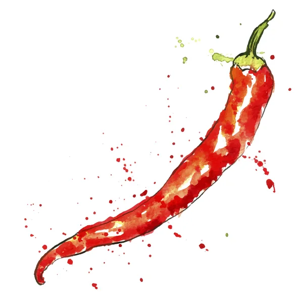 Vektor akvarell piros chili paprika — Stock Vector