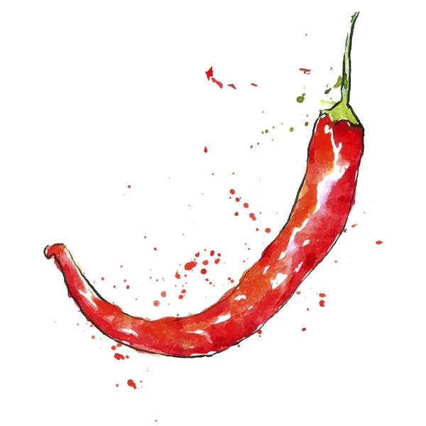 Vector watercolor red chili pepper — Stock Vector