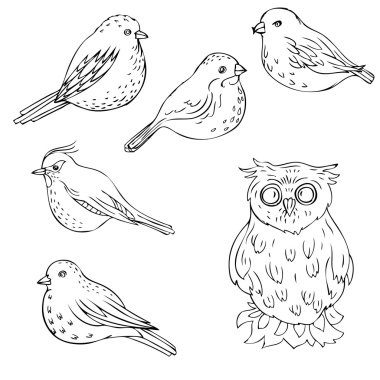 vektör el çekilmiş kuşlar