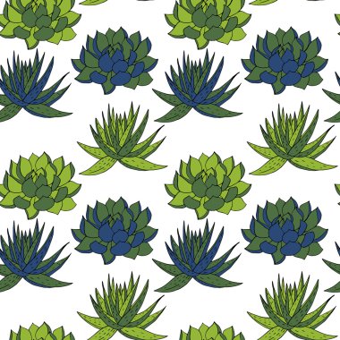 soyut vektör seamless modeli ile succelents