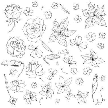 Çiçek ve yaprakların vektör kümesi