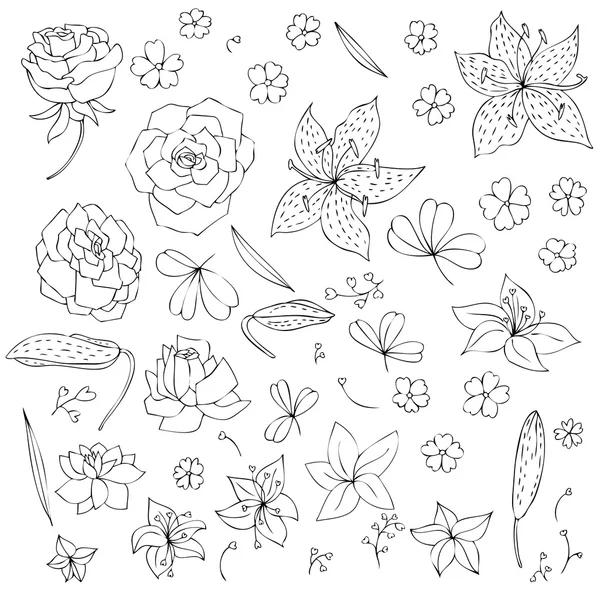 Vectorset van bloemen en bladeren — Stockvector