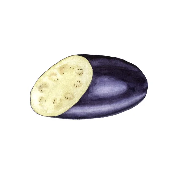 Akvarell lila aubergine — Stockfoto