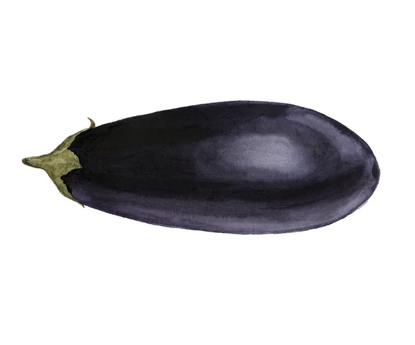 Akvarell lila aubergine — Stockfoto