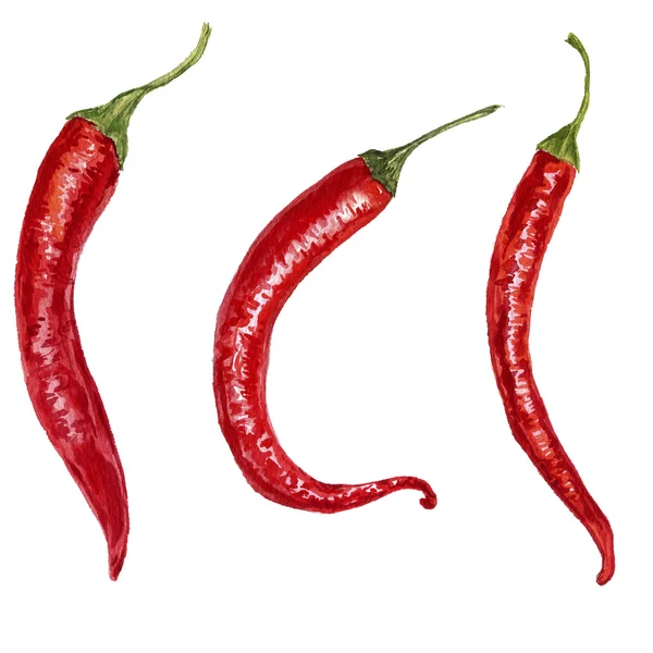 Akvarel červené chilli papričky — Stock fotografie