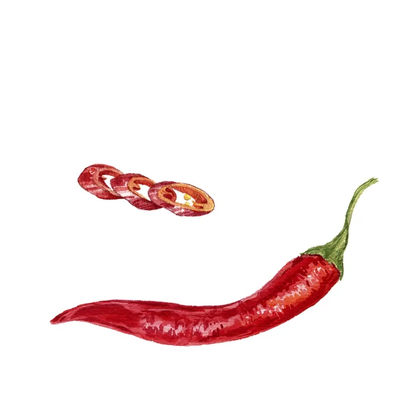 Aquarel rode chilipeper — Stockfoto