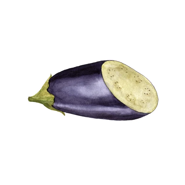 Suluboya mor patlıcan — Stok fotoğraf