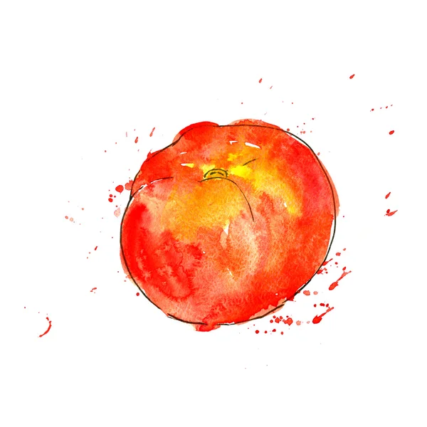 Watercolor red tomato — Stock Photo, Image