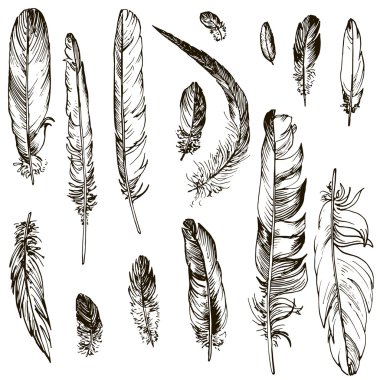 vektör tüy kümesi