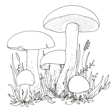 vektör mantar ve bitkiler