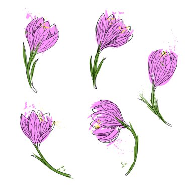 vektör set kardelen