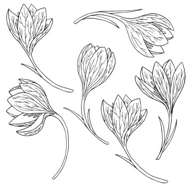 vektör set kardelen