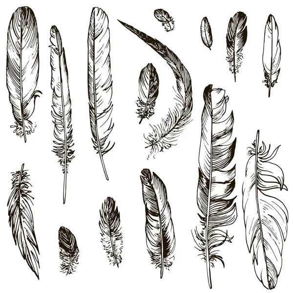 Vector set of feathers — Stock Vector