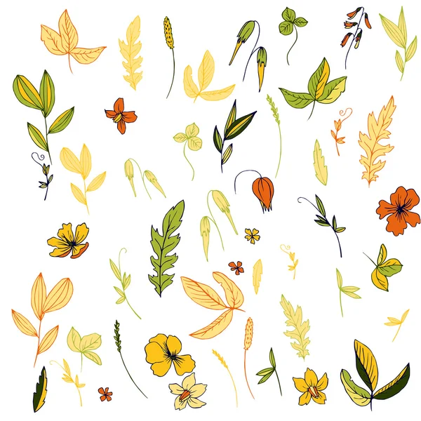 Fleurs, feuilles et plantes vectorielles — Image vectorielle