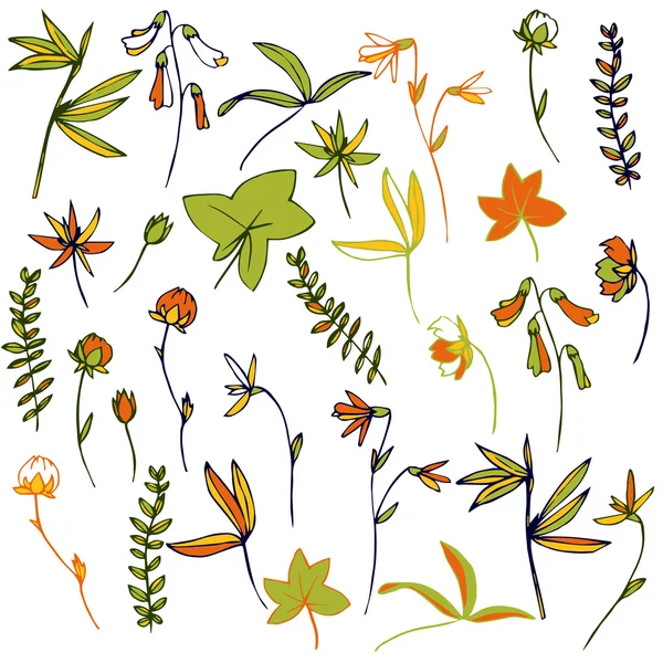矢量花朵、 叶子和植物 — 图库矢量图片